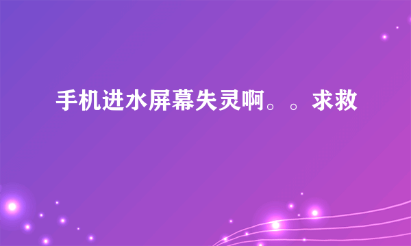 手机进水屏幕失灵啊。。求救