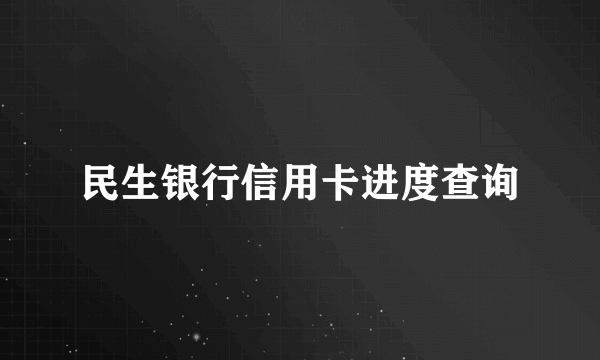 民生银行信用卡进度查询