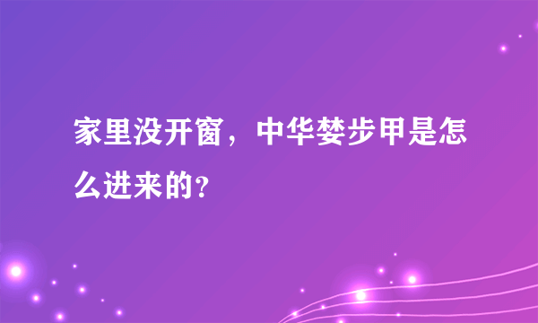 家里没开窗，中华婪步甲是怎么进来的？