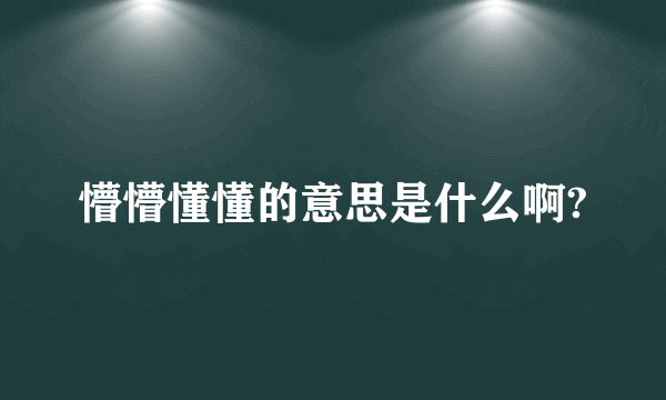 懵懵懂懂的意思是什么啊?