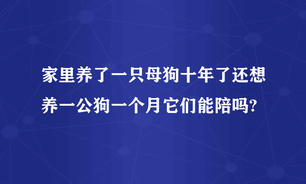 家里养了一只母狗十年了还想养一公狗一个月它们能陪吗?