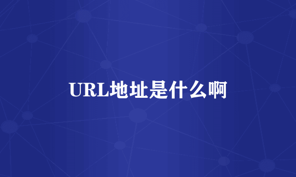 URL地址是什么啊