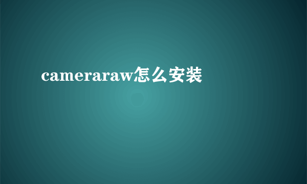 cameraraw怎么安装