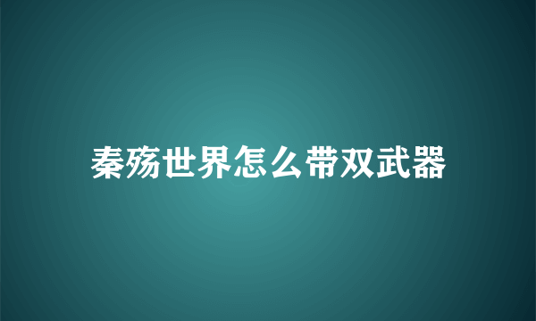 秦殇世界怎么带双武器