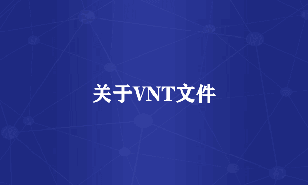 关于VNT文件