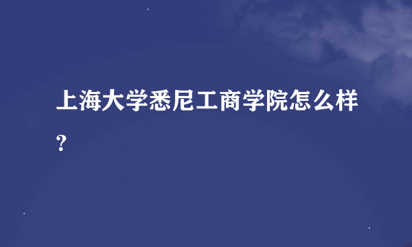 上海大学悉尼工商学院怎么样？