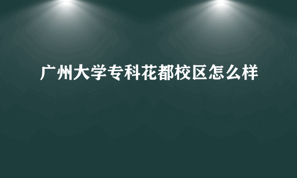 广州大学专科花都校区怎么样