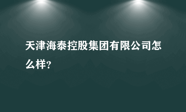 天津海泰控股集团有限公司怎么样？