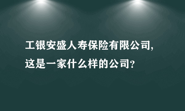 工银安盛人寿保险有限公司,这是一家什么样的公司？