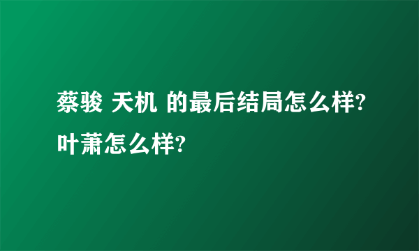 蔡骏 天机 的最后结局怎么样?叶萧怎么样?