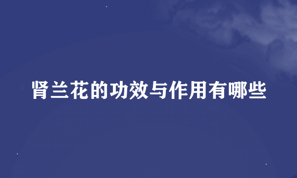 肾兰花的功效与作用有哪些