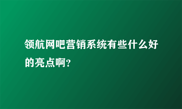 领航网吧营销系统有些什么好的亮点啊？