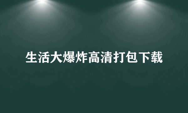 生活大爆炸高清打包下载