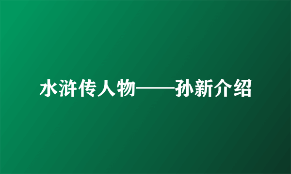 水浒传人物——孙新介绍