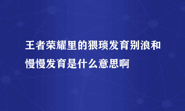 王者荣耀里的猥琐发育别浪和慢慢发育是什么意思啊