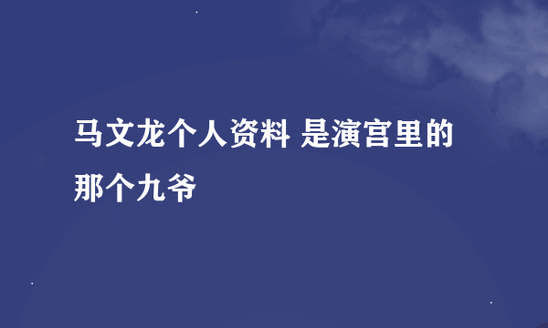 马文龙个人资料 是演宫里的那个九爷