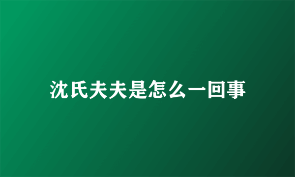 沈氏夫夫是怎么一回事