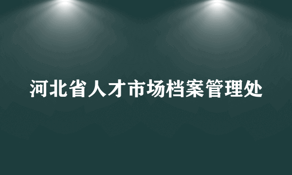 河北省人才市场档案管理处