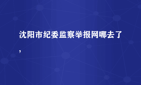 沈阳市纪委监察举报网哪去了,