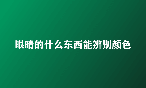 眼睛的什么东西能辨别颜色