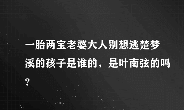 一胎两宝老婆大人别想逃楚梦溪的孩子是谁的，是叶南弦的吗？