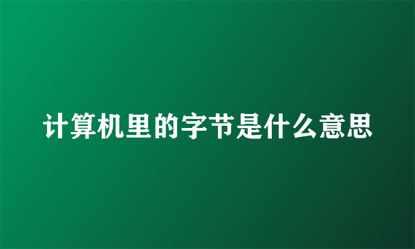 计算机里的字节是什么意思