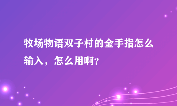 牧场物语双子村的金手指怎么输入，怎么用啊？