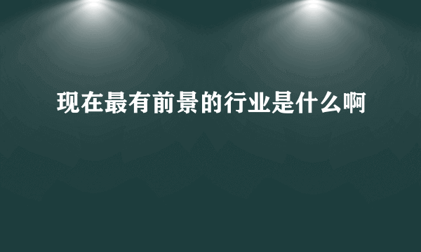 现在最有前景的行业是什么啊