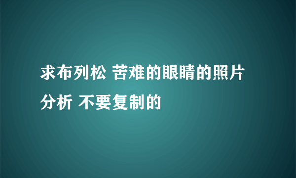 求布列松 苦难的眼睛的照片分析 不要复制的