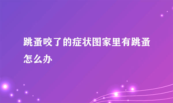 跳蚤咬了的症状图家里有跳蚤怎么办