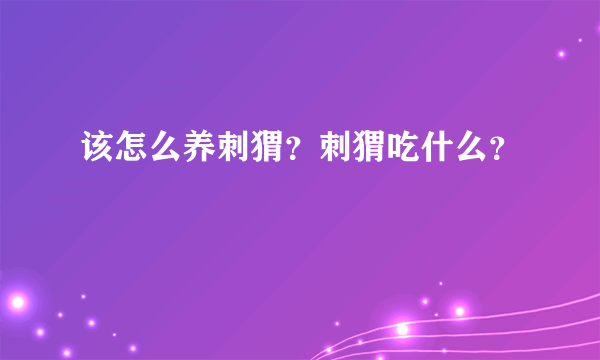 该怎么养刺猬？刺猬吃什么？