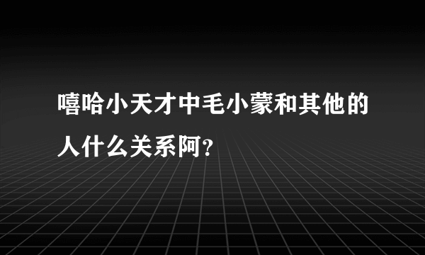 嘻哈小天才中毛小蒙和其他的人什么关系阿？