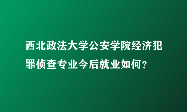 西北政法大学公安学院经济犯罪侦查专业今后就业如何？