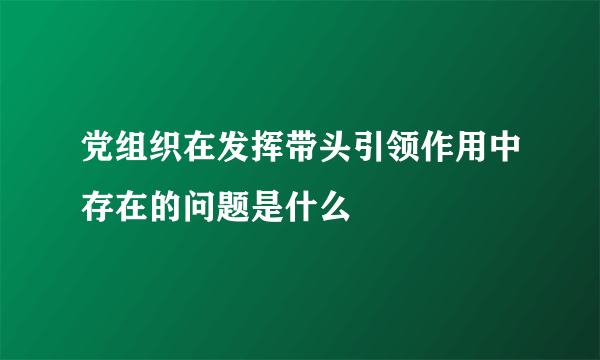 党组织在发挥带头引领作用中存在的问题是什么