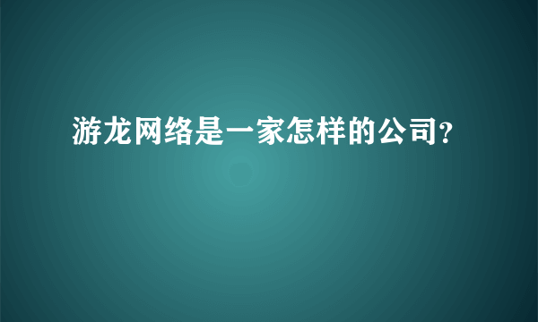 游龙网络是一家怎样的公司？