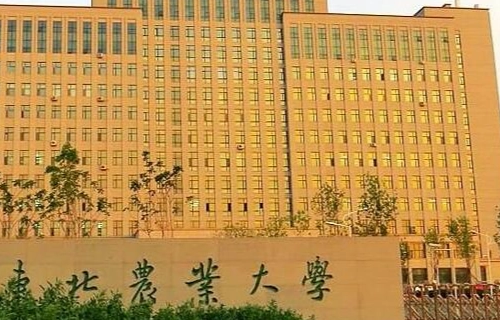 490分能上什么大学