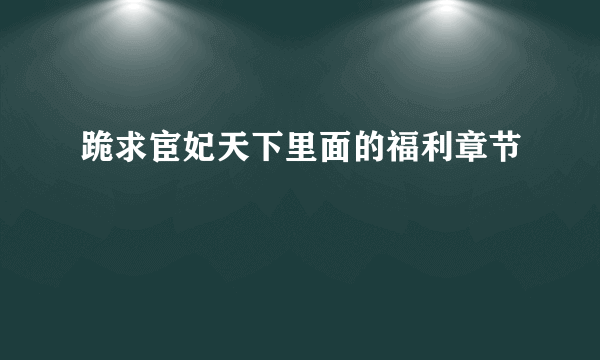 跪求宦妃天下里面的福利章节