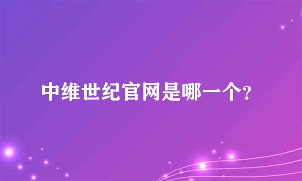 中维世纪官网是哪一个？