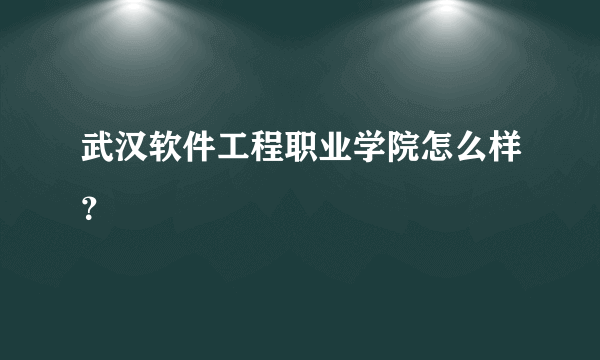 武汉软件工程职业学院怎么样？