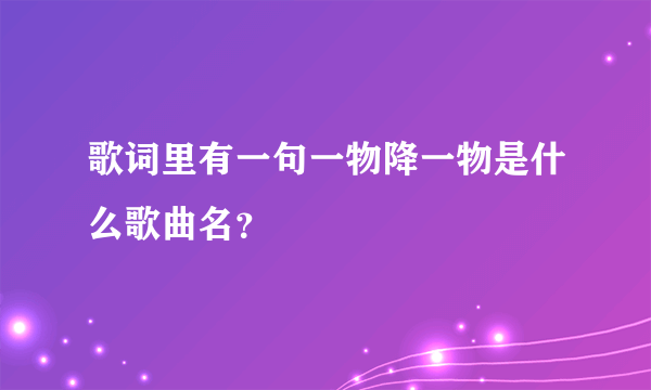 歌词里有一句一物降一物是什么歌曲名？