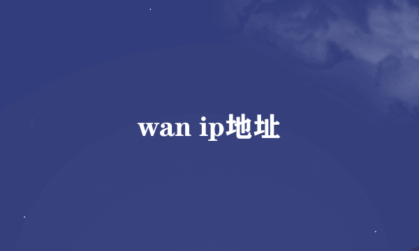 wan ip地址