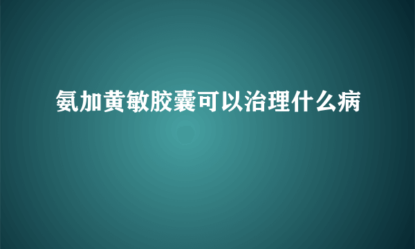 氨加黄敏胶囊可以治理什么病