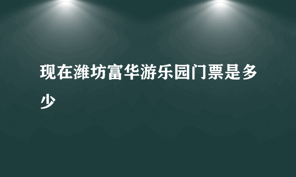 现在潍坊富华游乐园门票是多少