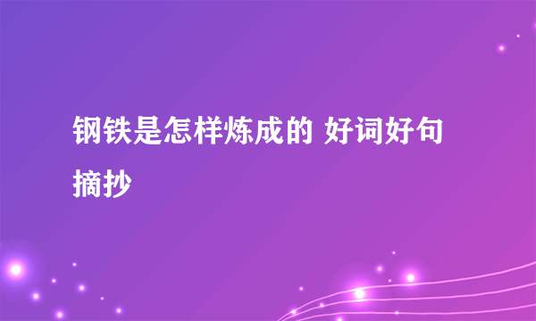 钢铁是怎样炼成的 好词好句摘抄