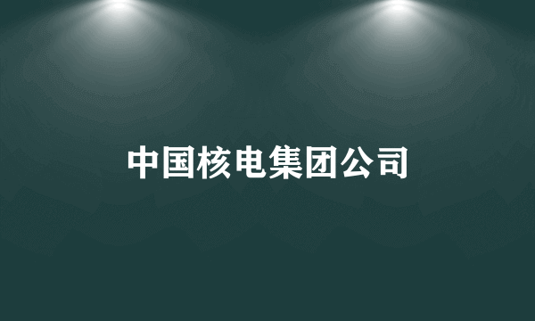 中国核电集团公司