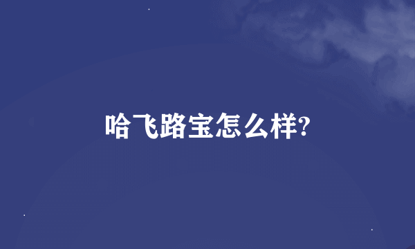 哈飞路宝怎么样?