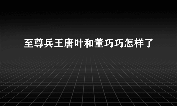 至尊兵王唐叶和董巧巧怎样了