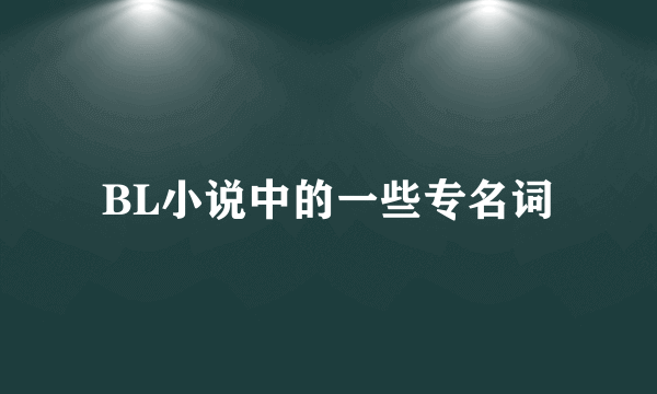 BL小说中的一些专名词