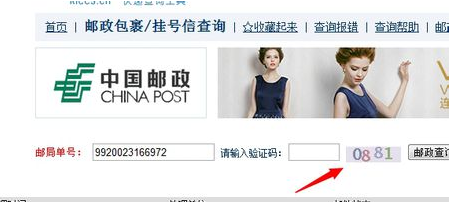 邮政小包单号查询