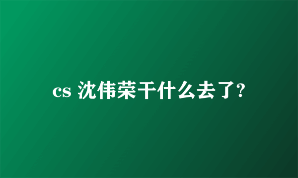 cs 沈伟荣干什么去了?